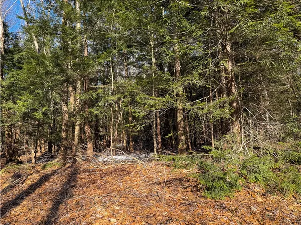 $49,900 | Paradise Road, Central Square, NY 13036