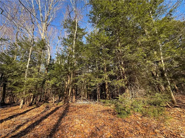 $49,900 | Paradise Road, Central Square, NY 13036