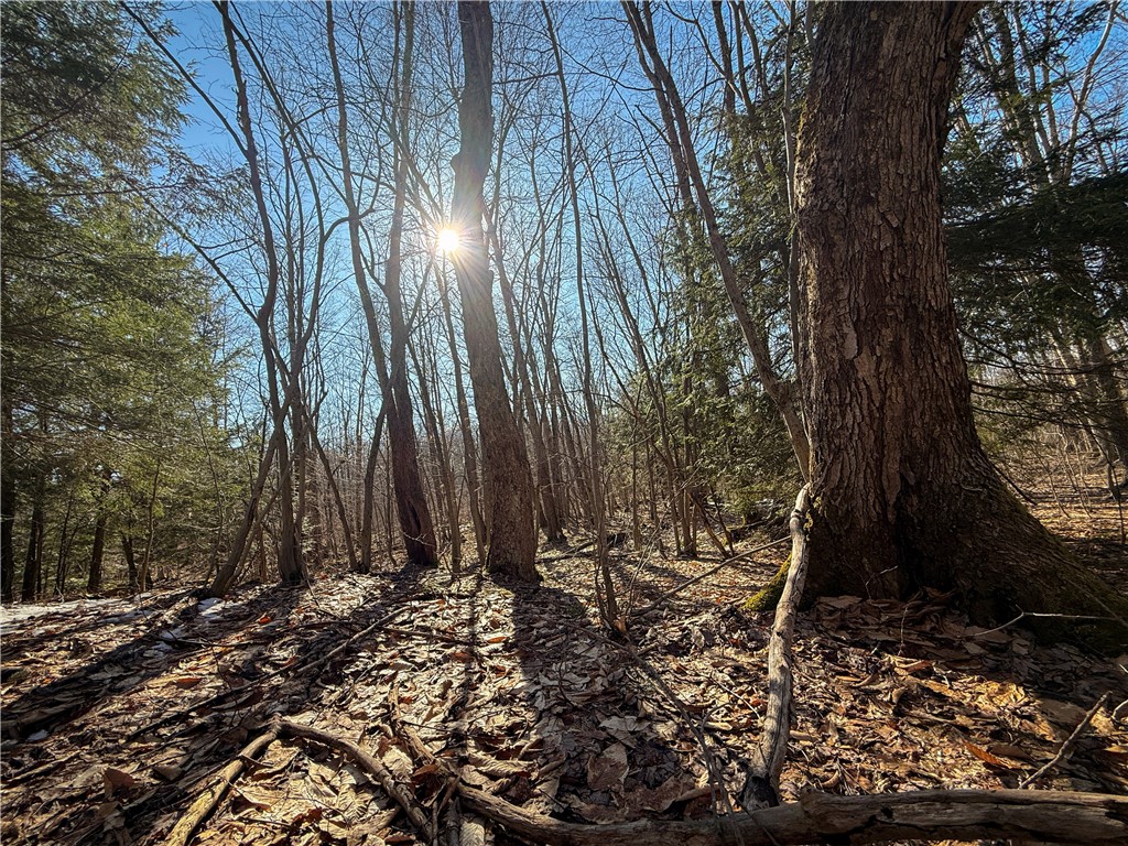 Paradise Road Central Square, NY 13036 - Photo 17 of 31