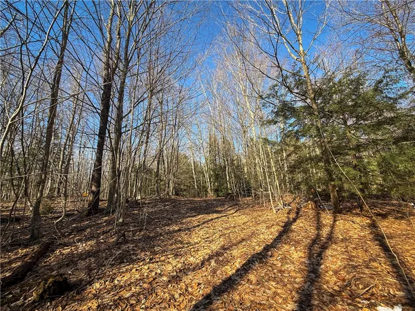 $49,900 | Paradise Road, Central Square, NY 13036