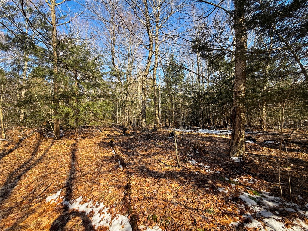 Paradise Road Central Square, NY 13036 - Photo 19 of 31