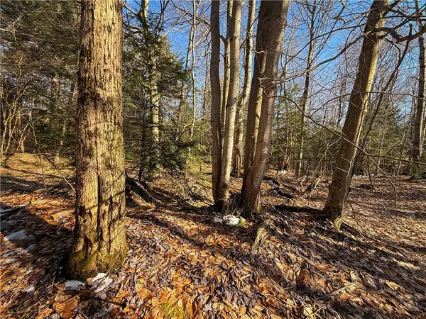 $49,900 | Paradise Road, Central Square, NY 13036