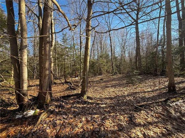 $49,900 | Paradise Road, Central Square, NY 13036