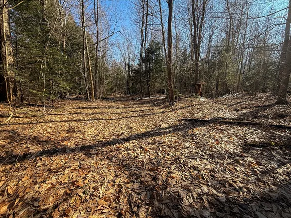 $49,900 | Paradise Road, Central Square, NY 13036