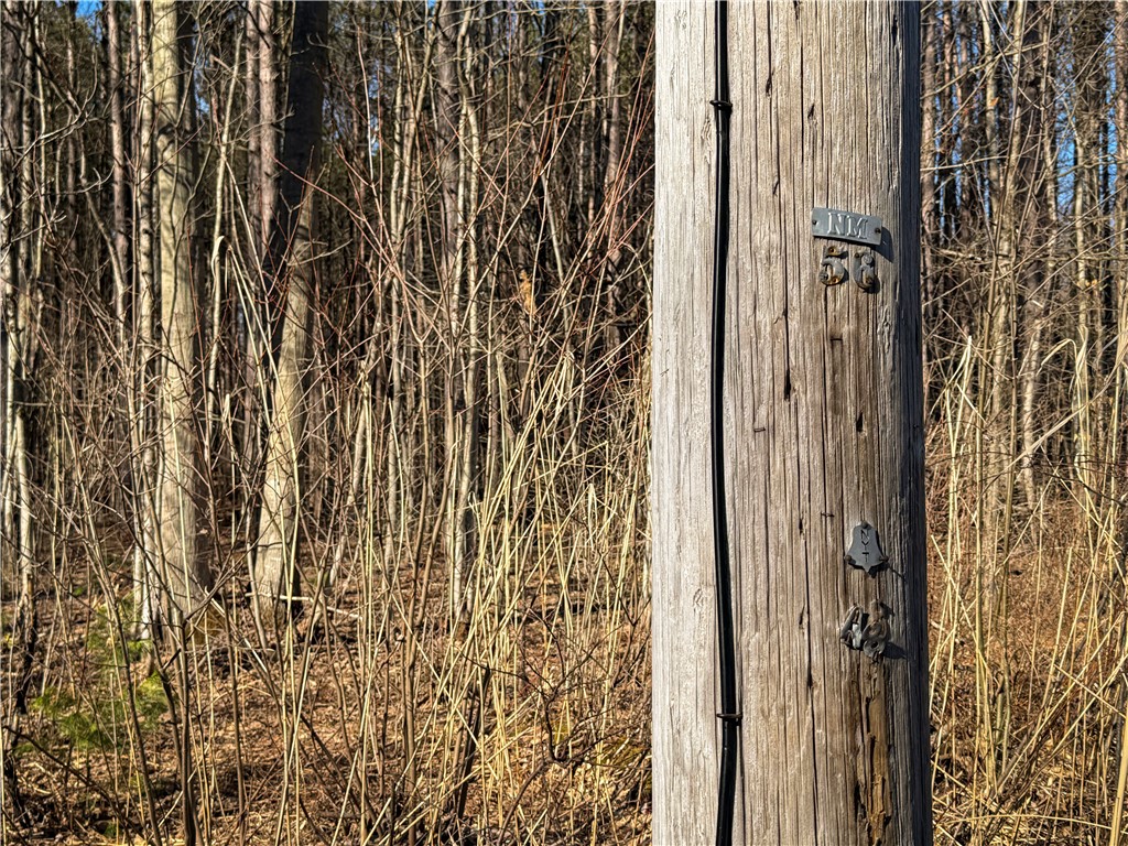 Paradise Road Central Square, NY 13036 - Photo 23 of 31