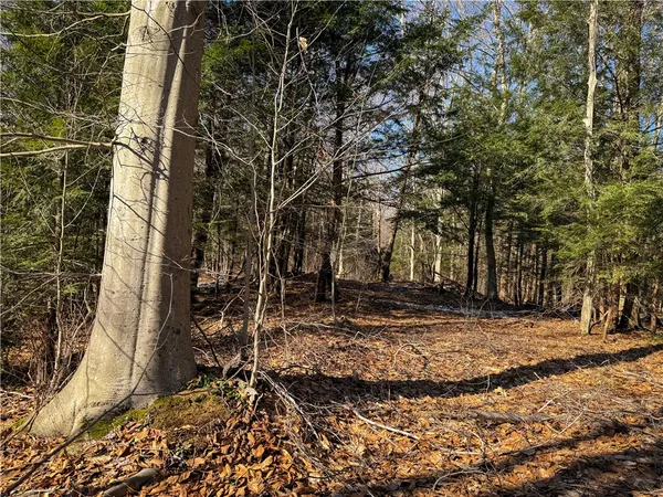 $49,900 | Paradise Road, Central Square, NY 13036