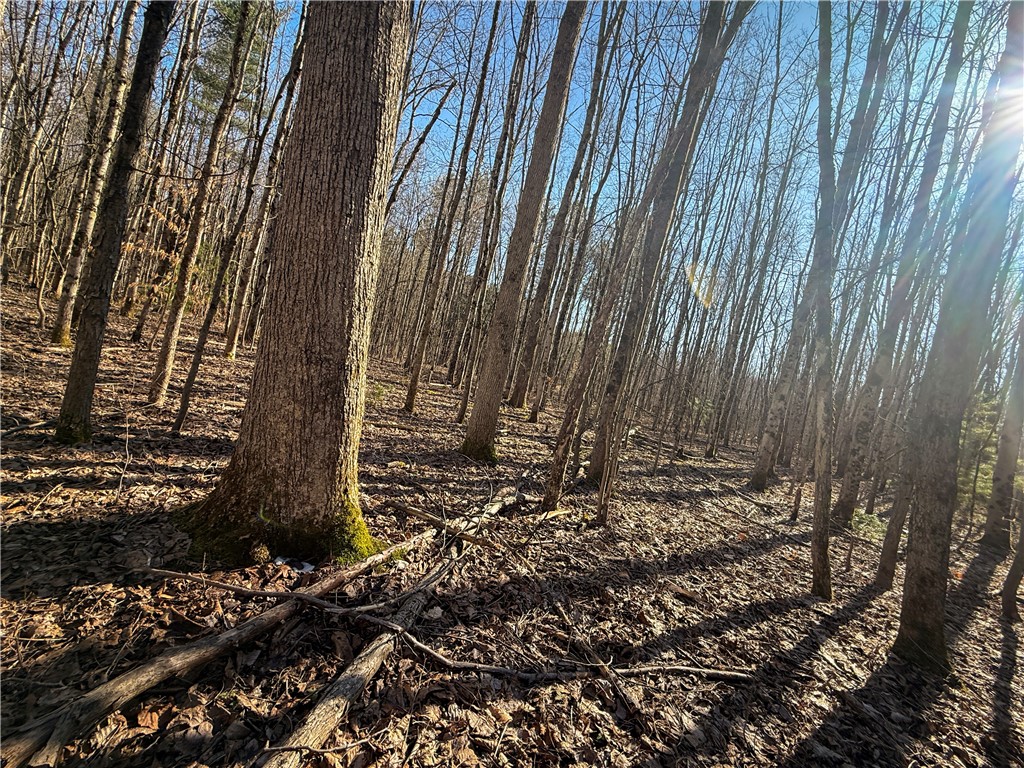 Paradise Road Central Square, NY 13036 - Photo 25 of 31