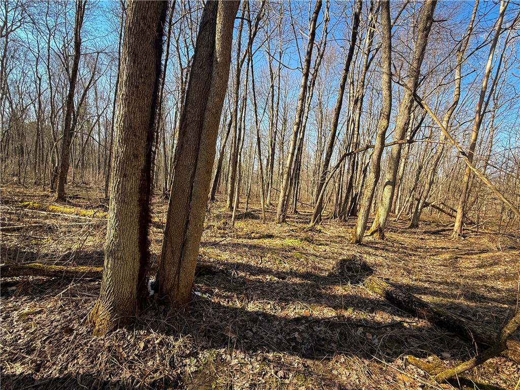 Paradise Road Central Square, NY 13036 - Photo 27 of 31