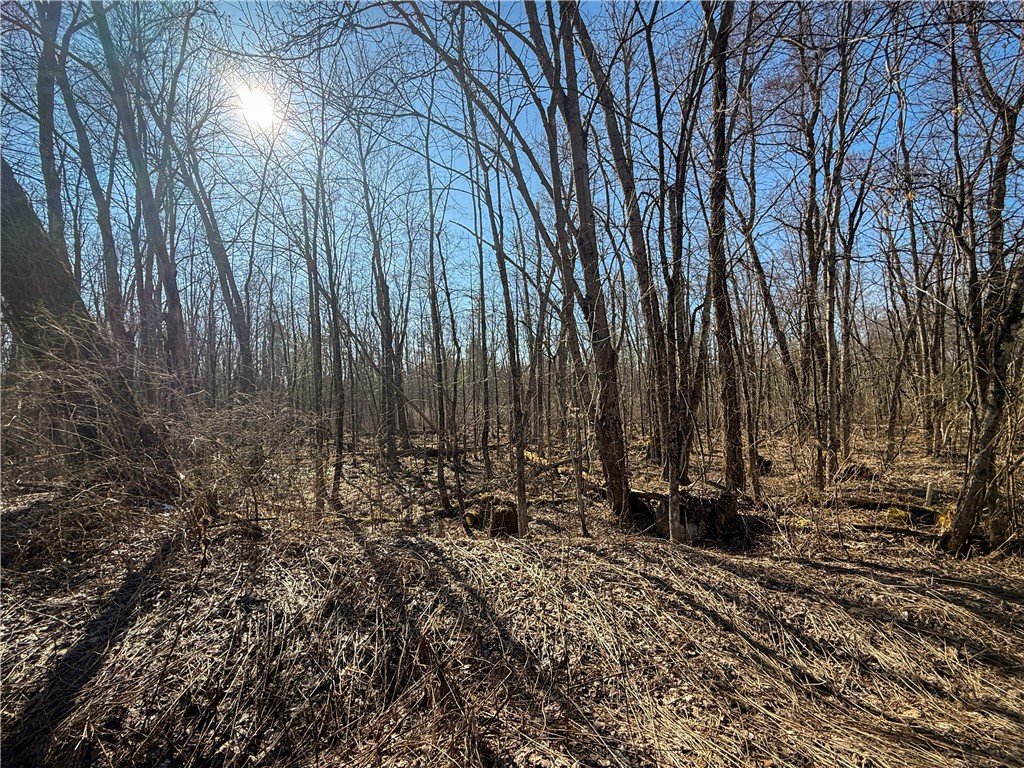 Paradise Road Central Square, NY 13036 - Photo 6 of 31