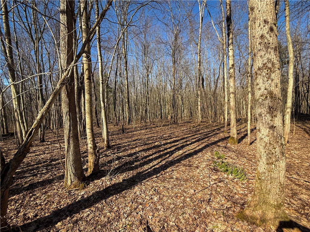 Paradise Road Central Square, NY 13036 - Photo 8 of 31