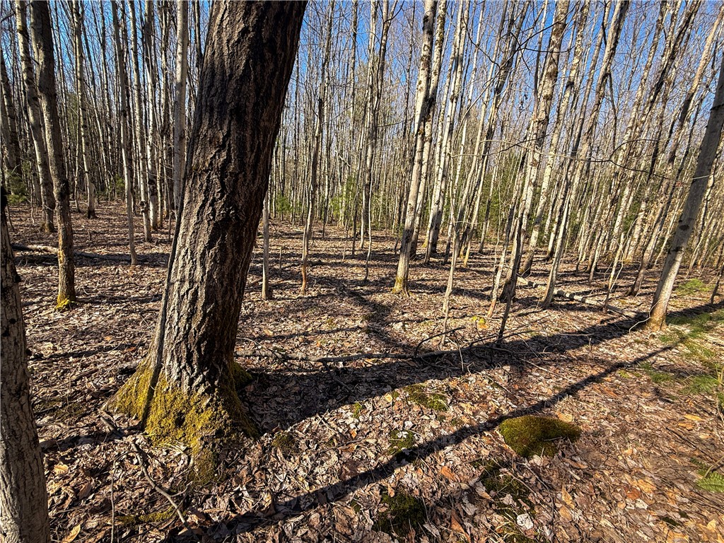 Paradise Road Central Square, NY 13036 - Photo 9 of 31