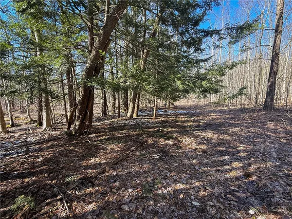 $49,900 | Paradise Road, Central Square, NY 13036