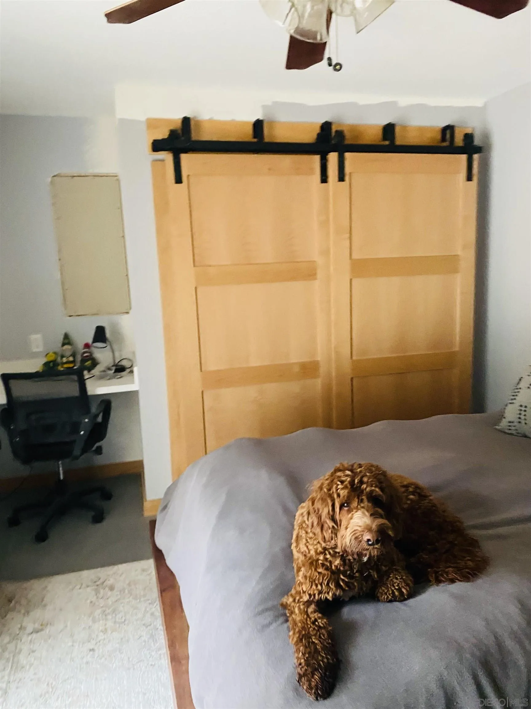 19170 Paradise Mountain Road Valley Center, CA 92082 - Photo 13 of 19