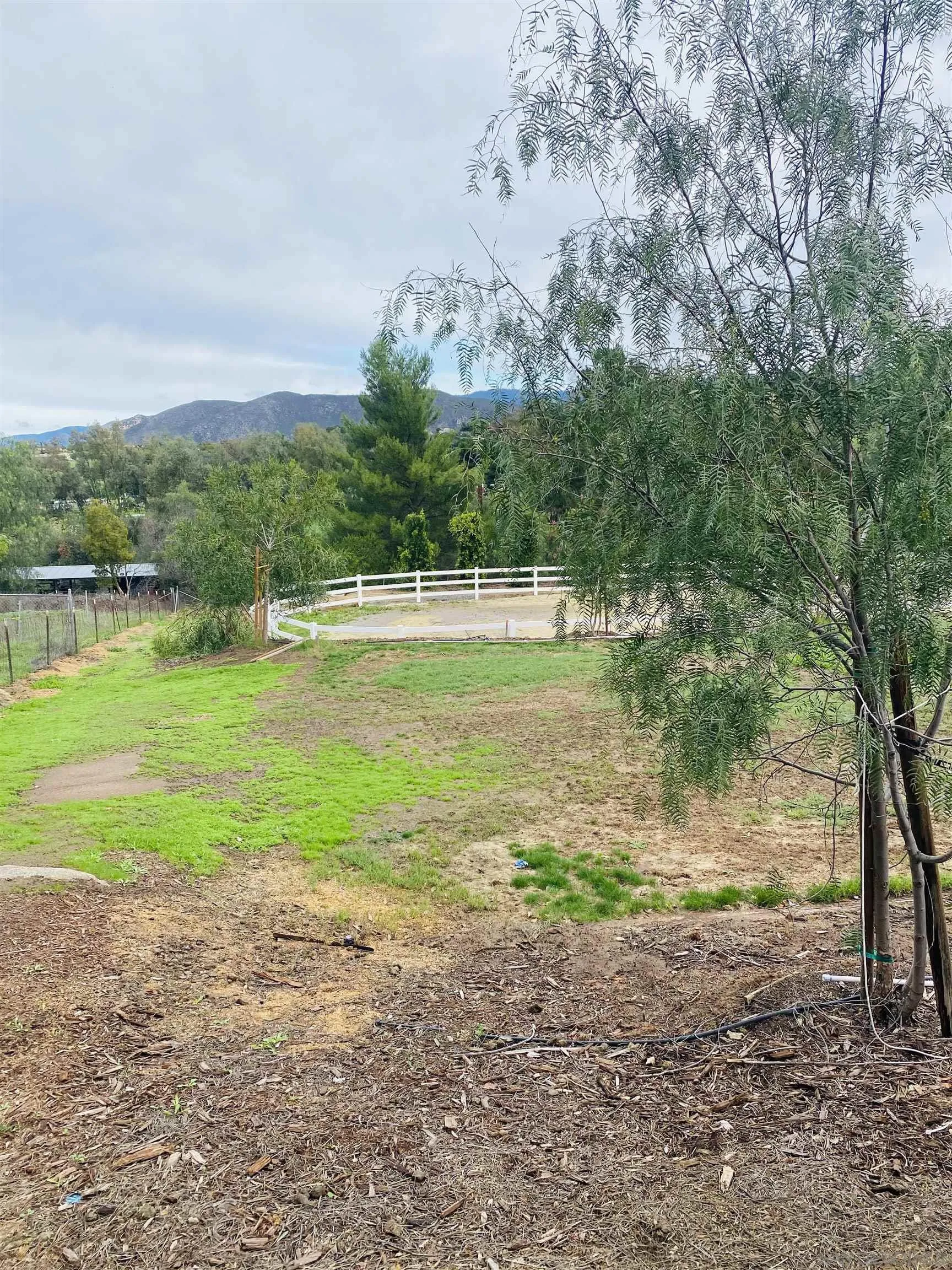 19170 Paradise Mountain Road Valley Center, CA 92082 - Photo 10 of 19