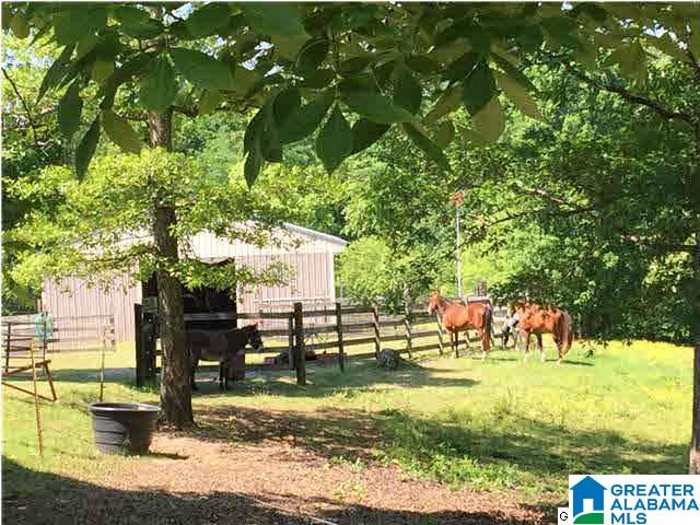 4100 Blue Cutt Road Pell City, AL 35128 - Photo 23 of 32