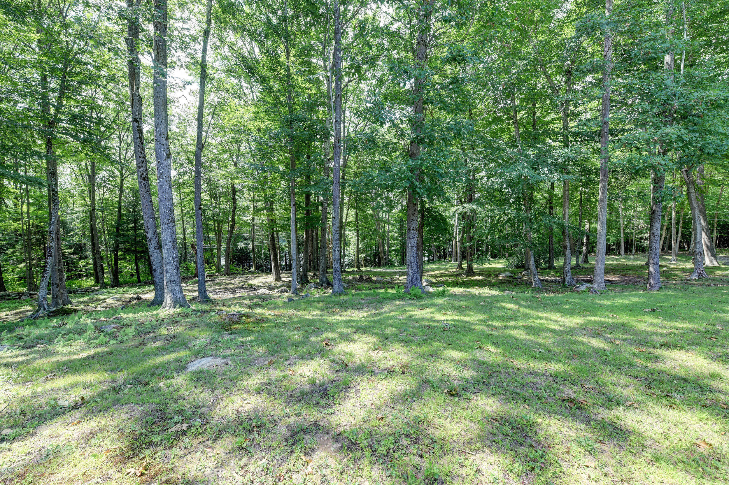15 Lake View Road Peru, MA 01235 - Photo 34 of 39 a backyard of a house with lots of green space and deers