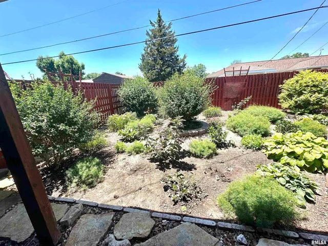 a view of a garden with plants