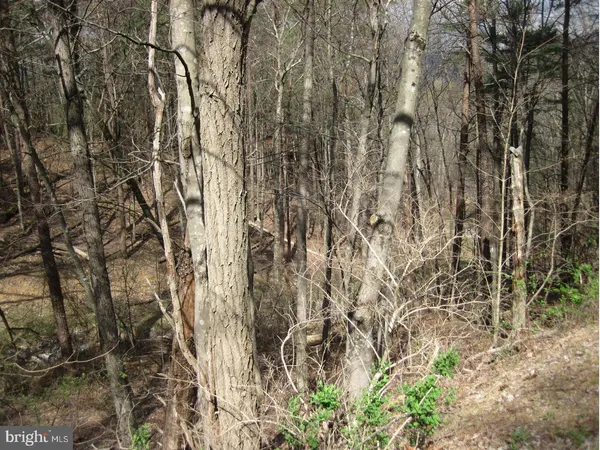 $25,000 | Straton Way, Mount Jackson, VA 22842