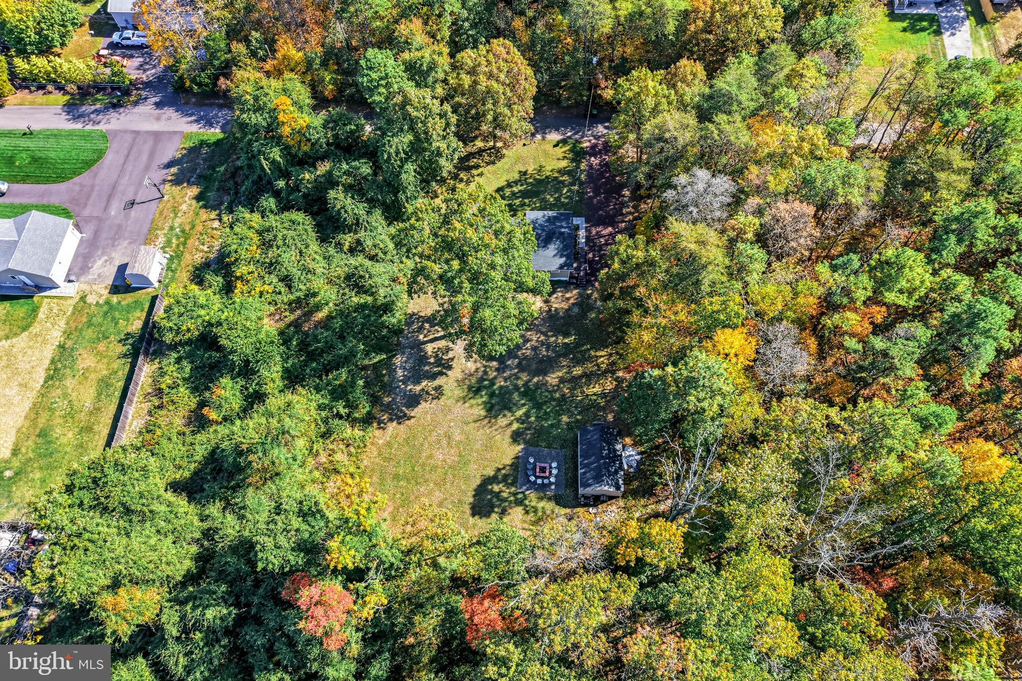 209 Myrtle Lane Berlin, NJ 08009 - Photo 36 of 36 a view of a tree in a garden
