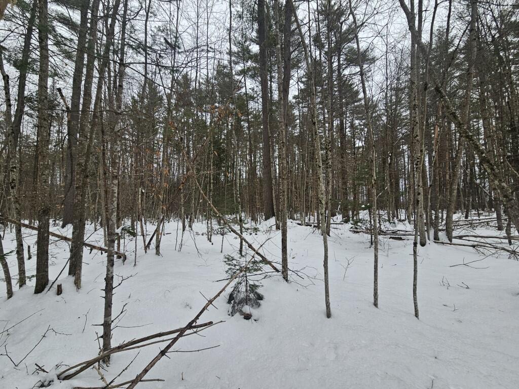 31 North Fryeburg Road Fryeburg, ME 04037 - Photo 12 of 28 12 lot