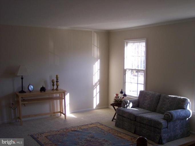5771 Heming Avenue Springfield, VA 22151 - Photo 14 of 15 Living Room #2