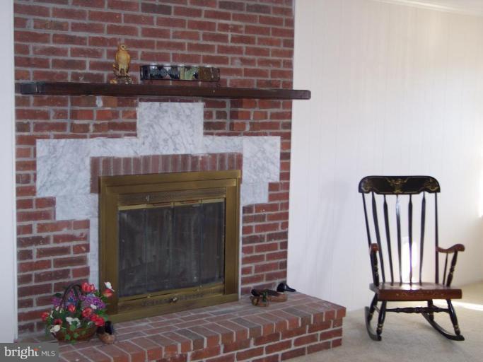 5771 Heming Avenue Springfield, VA 22151 - Photo 15 of 15 Fireplace