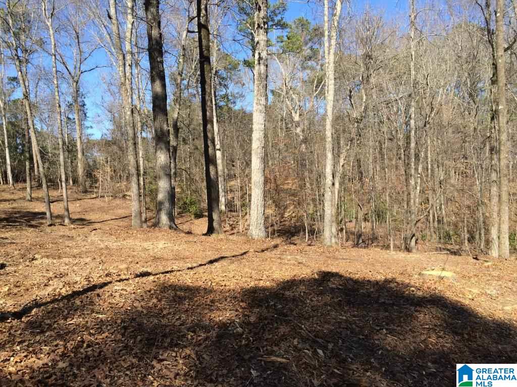 102 Hickory Way, Unit 56 ACRES Dadeville, AL 36853 - Photo 5 of 14