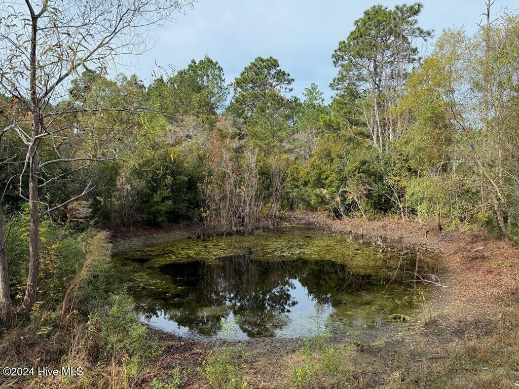 493 Highway 172 Hubert, NC 28539 - Photo 32 of 33 Pond #2