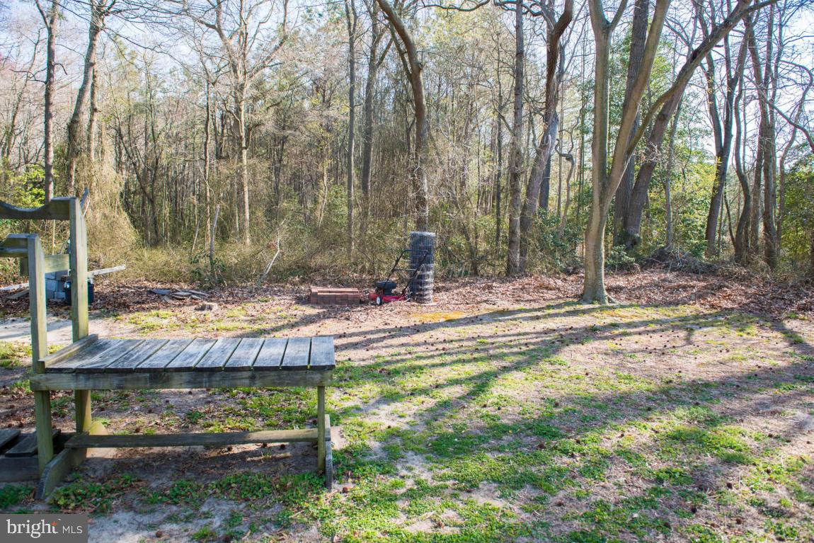 4875 Campground Road Salisbury, MD 21801 - Photo 51 of 71 Gallery Image 51