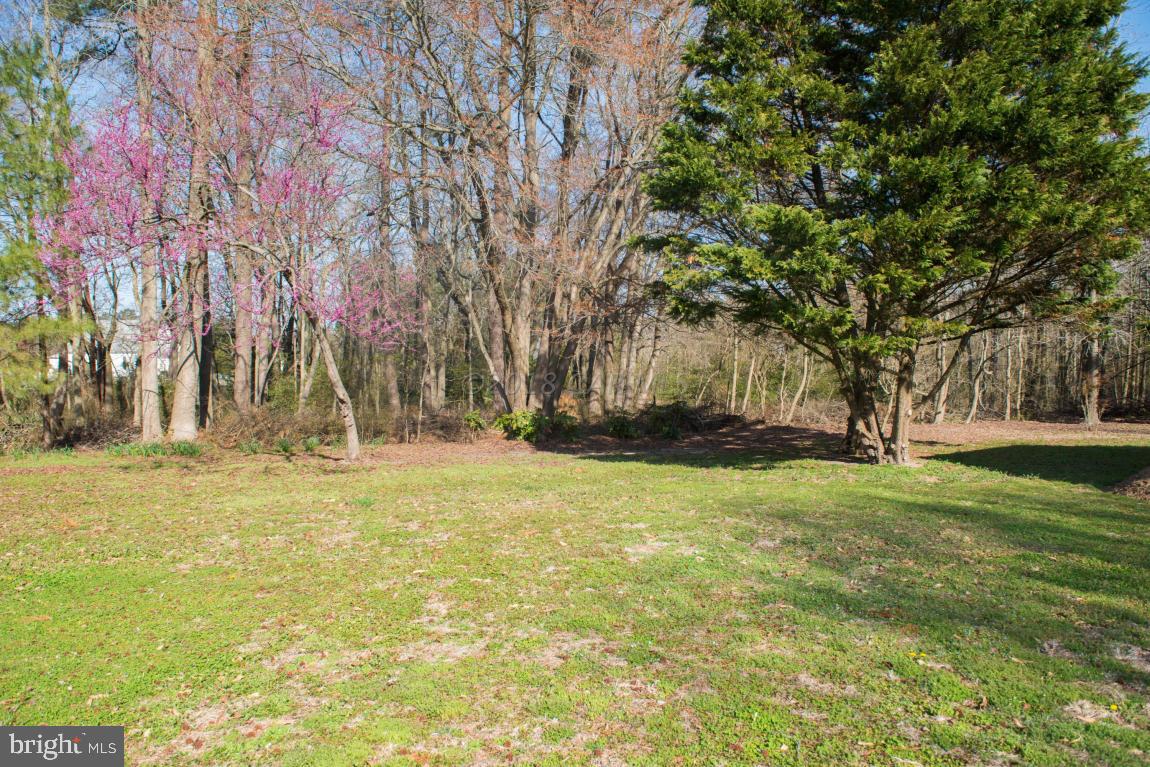 4875 Campground Road Salisbury, MD 21801 - Photo 67 of 71 Gallery Image 67