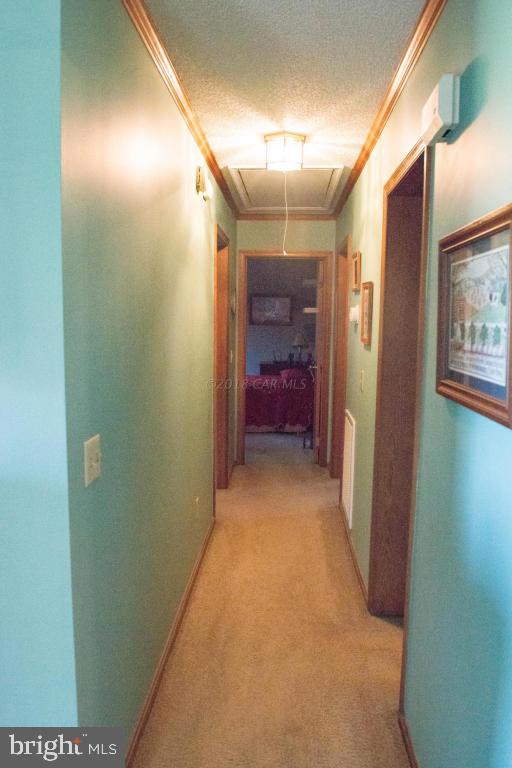 4875 Campground Road Salisbury, MD 21801 - Photo 9 of 71 Gallery Image 9