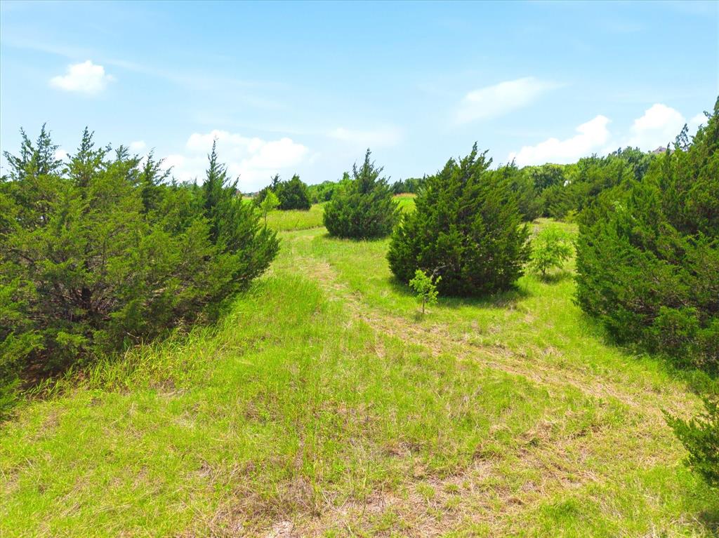 3549 North Stodghill Road Fate, TX 75087 - Photo 12 of 18 Build your country estate among these towering trees!