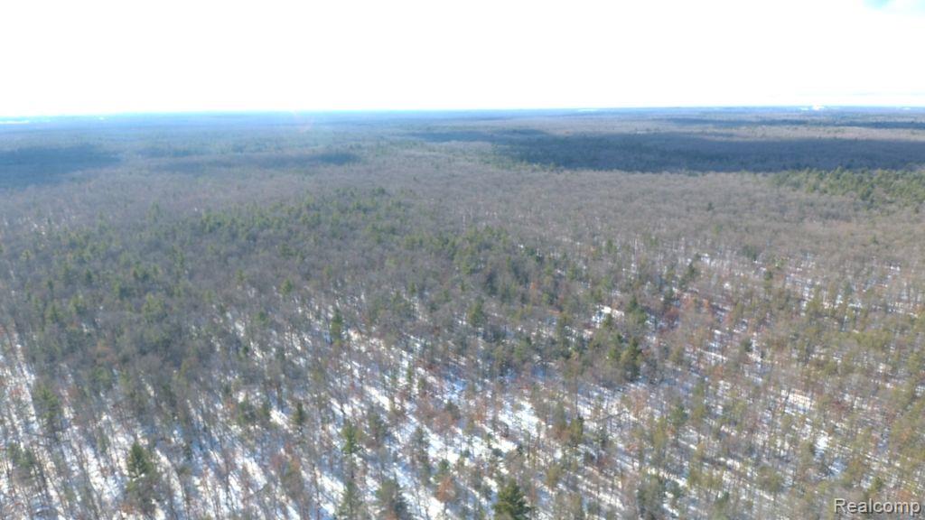 8879 9 Mile Bridge Road Manistee, MI 49660 - Photo 22 of 34