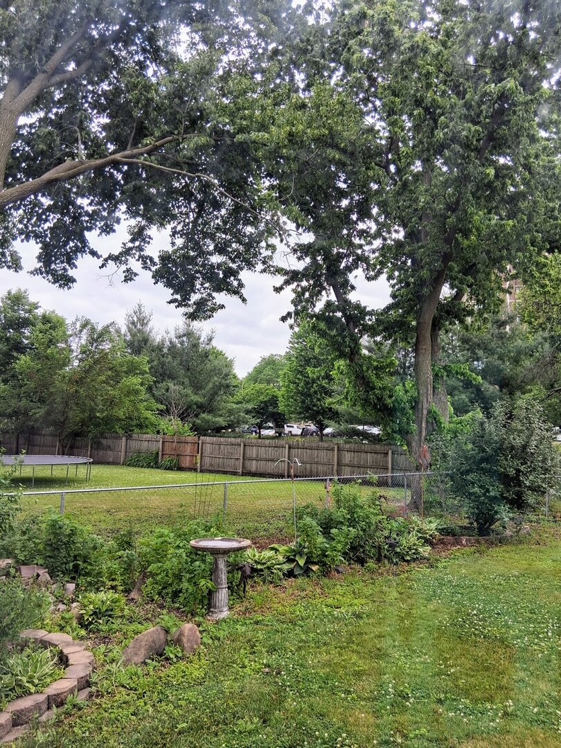 742 South 4th Street DeKalb, IL 60115 - Photo 41 of 46 a view of a backyard with large trees