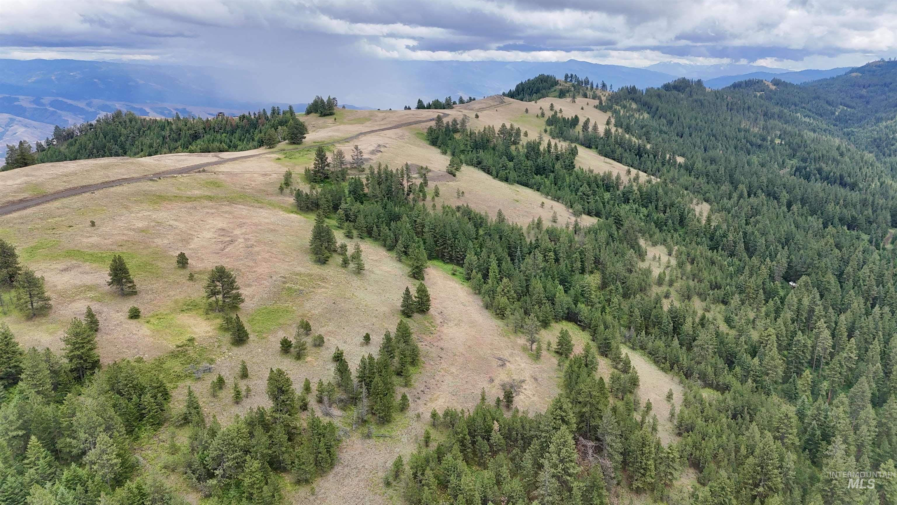 Lot 91 Pilgrim Ridge Road White Bird, ID 83554 - Photo 12 of 35