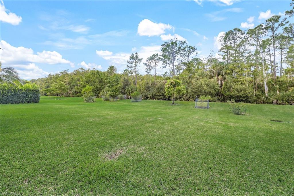 9243 Marble Stone Drive Naples, FL 34120 - Photo 49 of 50 a backyard of a house with lots of green space