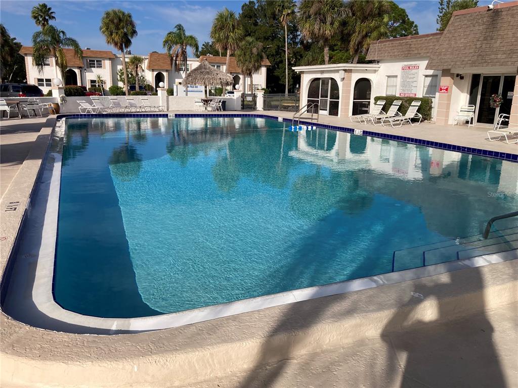 391 South McMullen Booth Road, Unit 7 Clearwater, FL 33759 - Photo 3 of 16 a view of swimming pool with outdoor seating