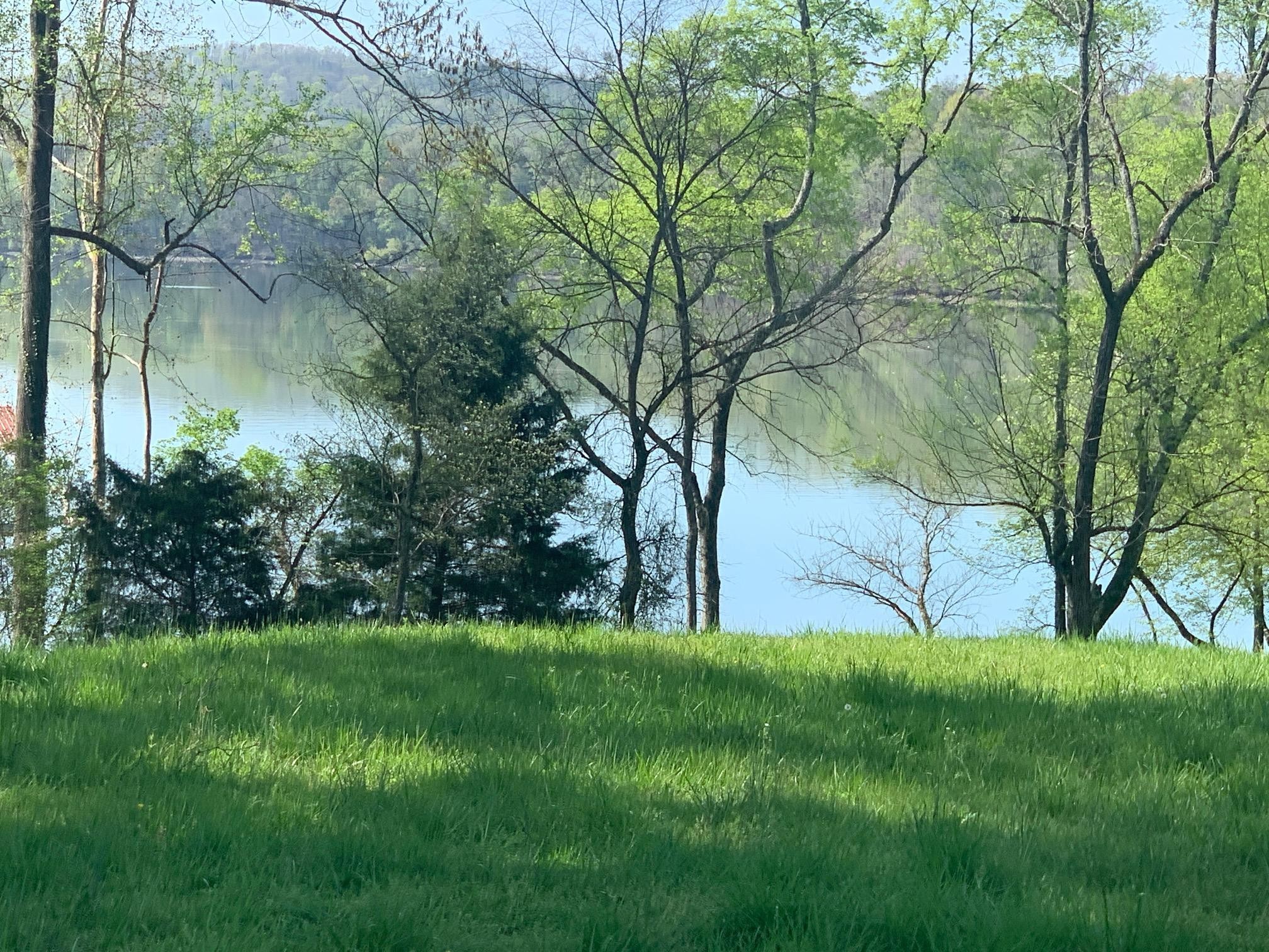 0 Emory River Road Harriman, TN 37748 - Photo 3 of 6 Gallery Image 3