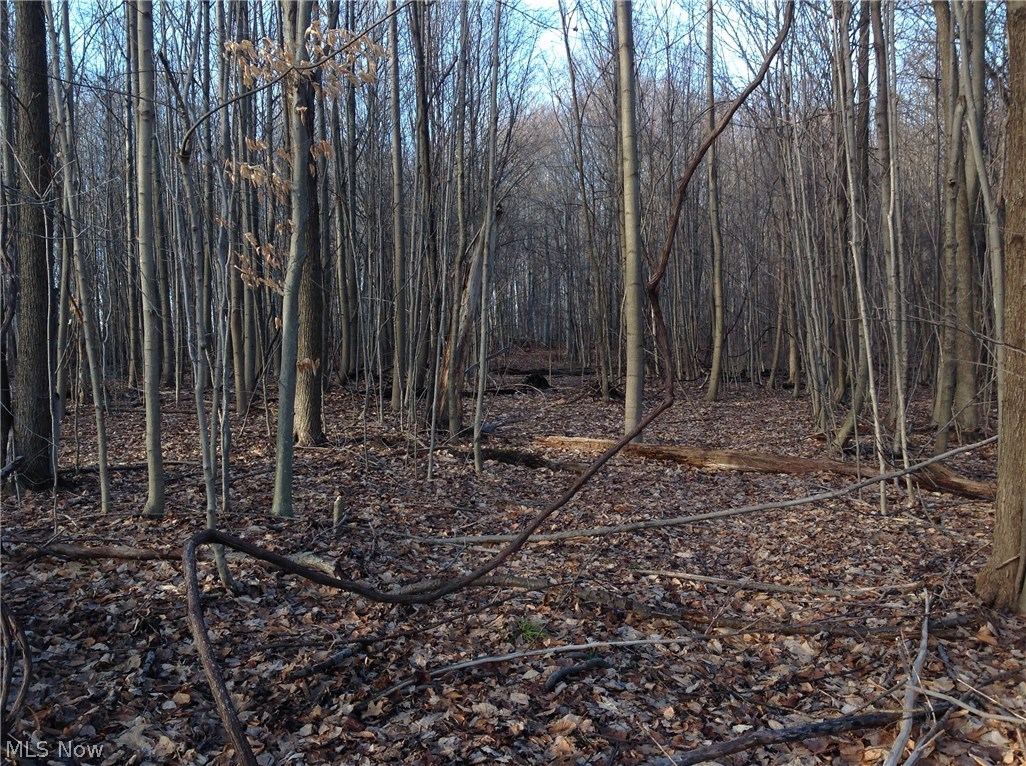 3594 Industry Road Rootstown, OH 44272 - Photo 15 of 25 20 wooded acres
