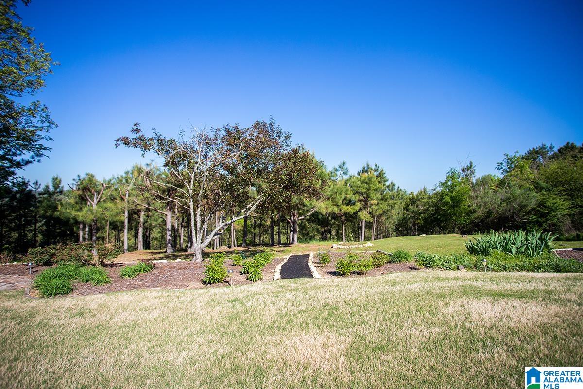 1004 Grande View Pass Alabaster, AL 35114 - Photo 84 of 97