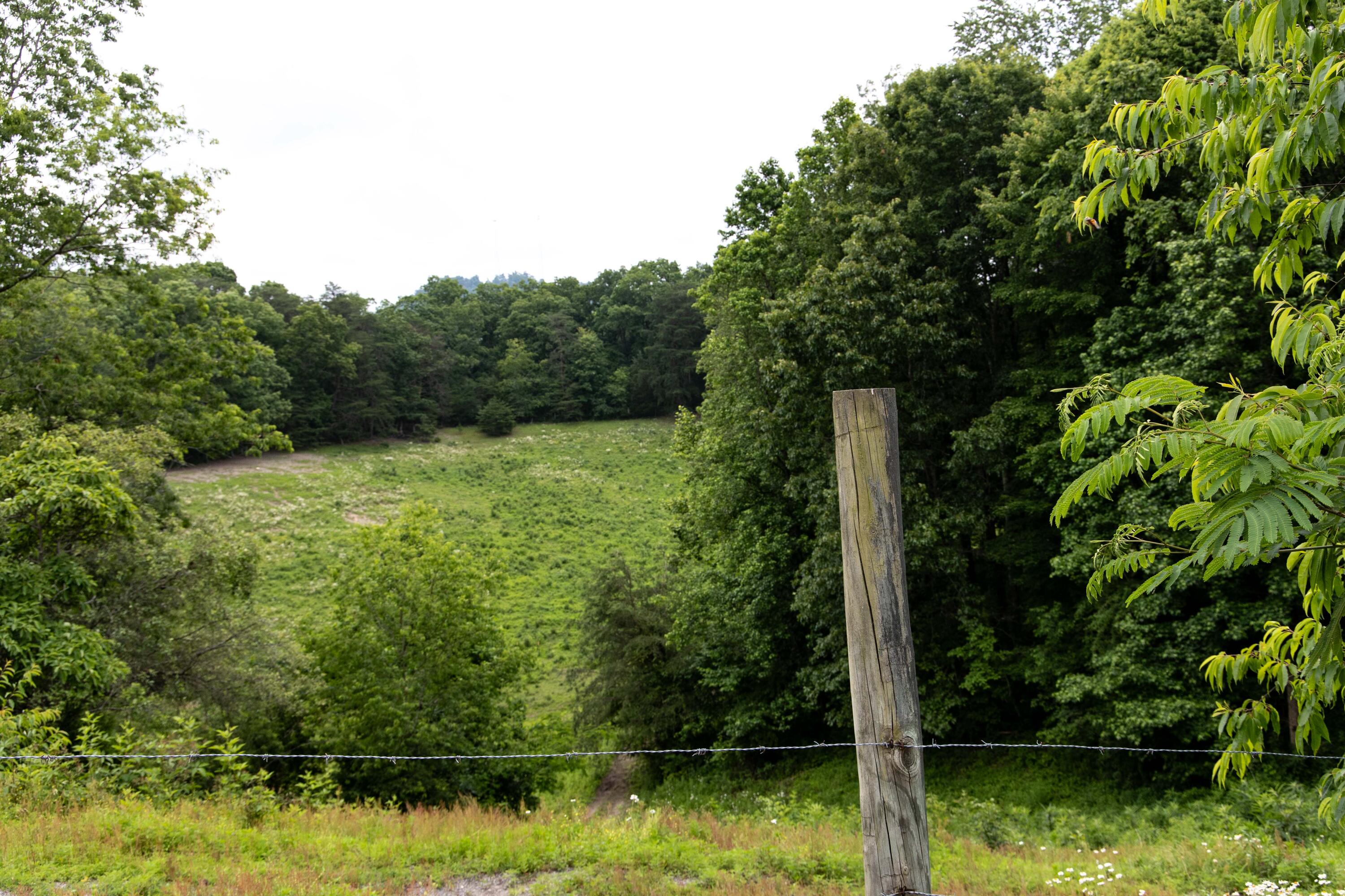 799 Hargett Road Irvine, KY 40336 - Photo 54 of 71 779Hargetroad-59