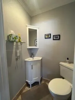 a bathroom with a toilet a sink and mirror