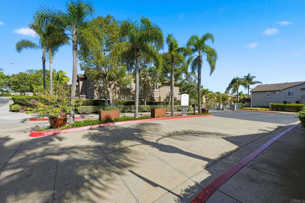 6485 Alexandri Circle Carlsbad, CA 92011 - Photo 35 of 40 a view of road with palm trees