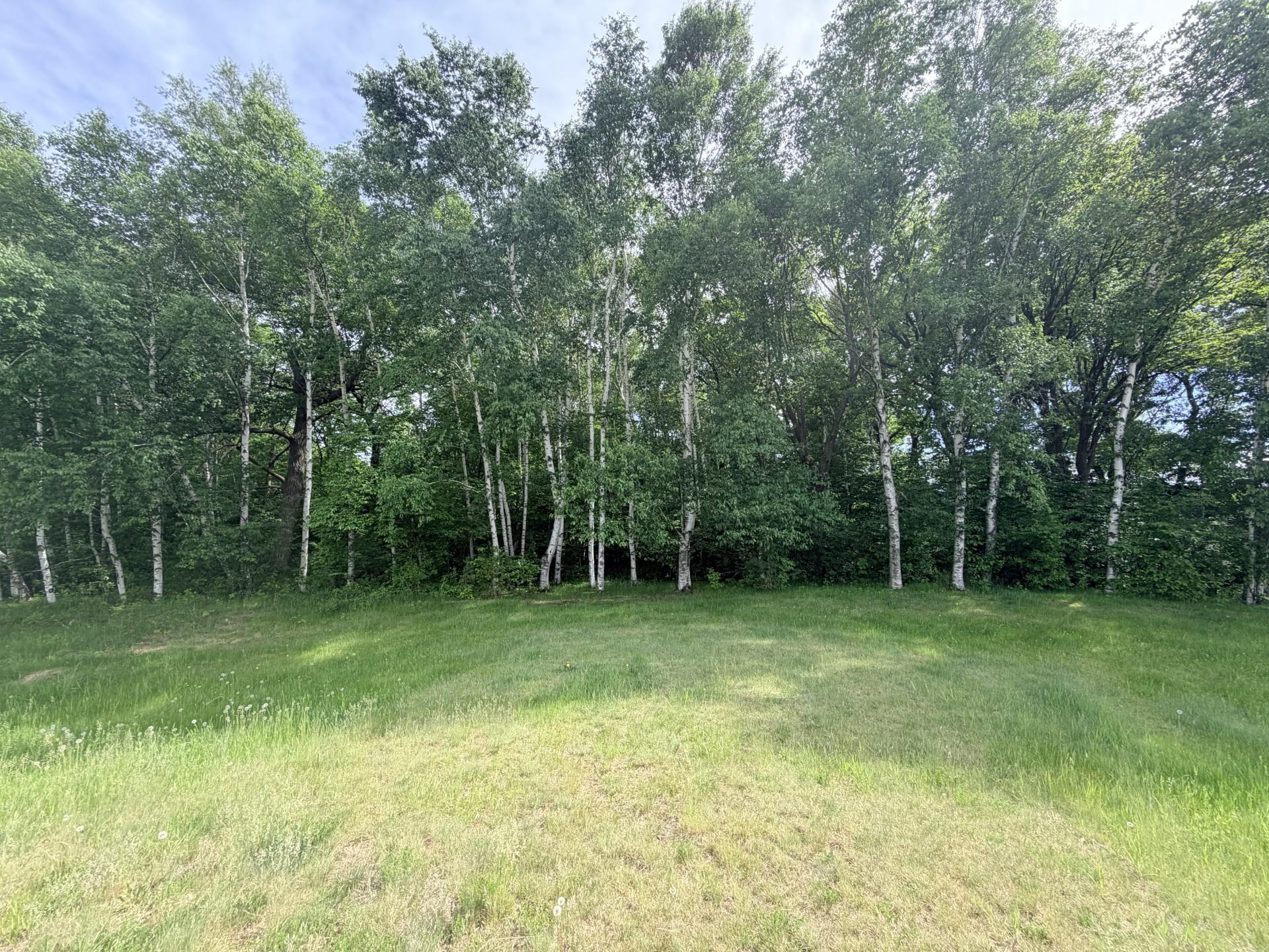 21781 Trestle Ridge Road Albany, MN 56307 - Photo 2 of 13