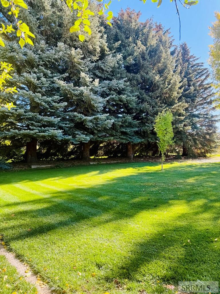 688 North 4146 East Rigby, ID 83442 - Photo 35 of 66