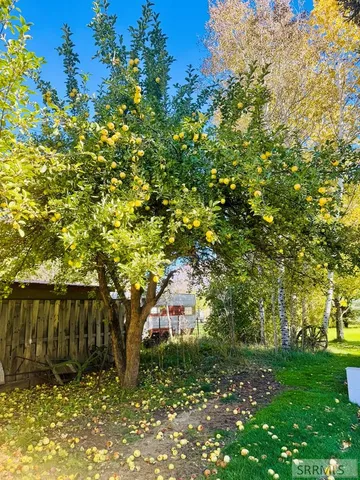 $449,000 | 688 North 4145 East, Rigby, ID 83442