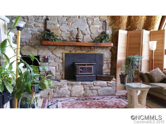 1576 Joe Carver Road Waynesville, NC 28785 - Photo 10 of 21