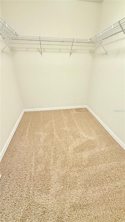 7580 Aloma Pines Court Winter Park, FL 32792 - Photo 15 of 36 a view of a room with shelf on the wall