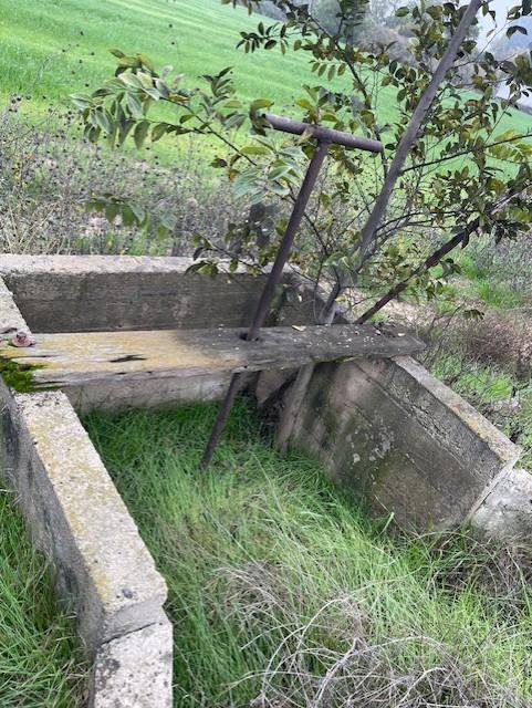 119 East Clausen Road Turlock, CA 95380 - Photo 23 of 26 a view of yard with green space