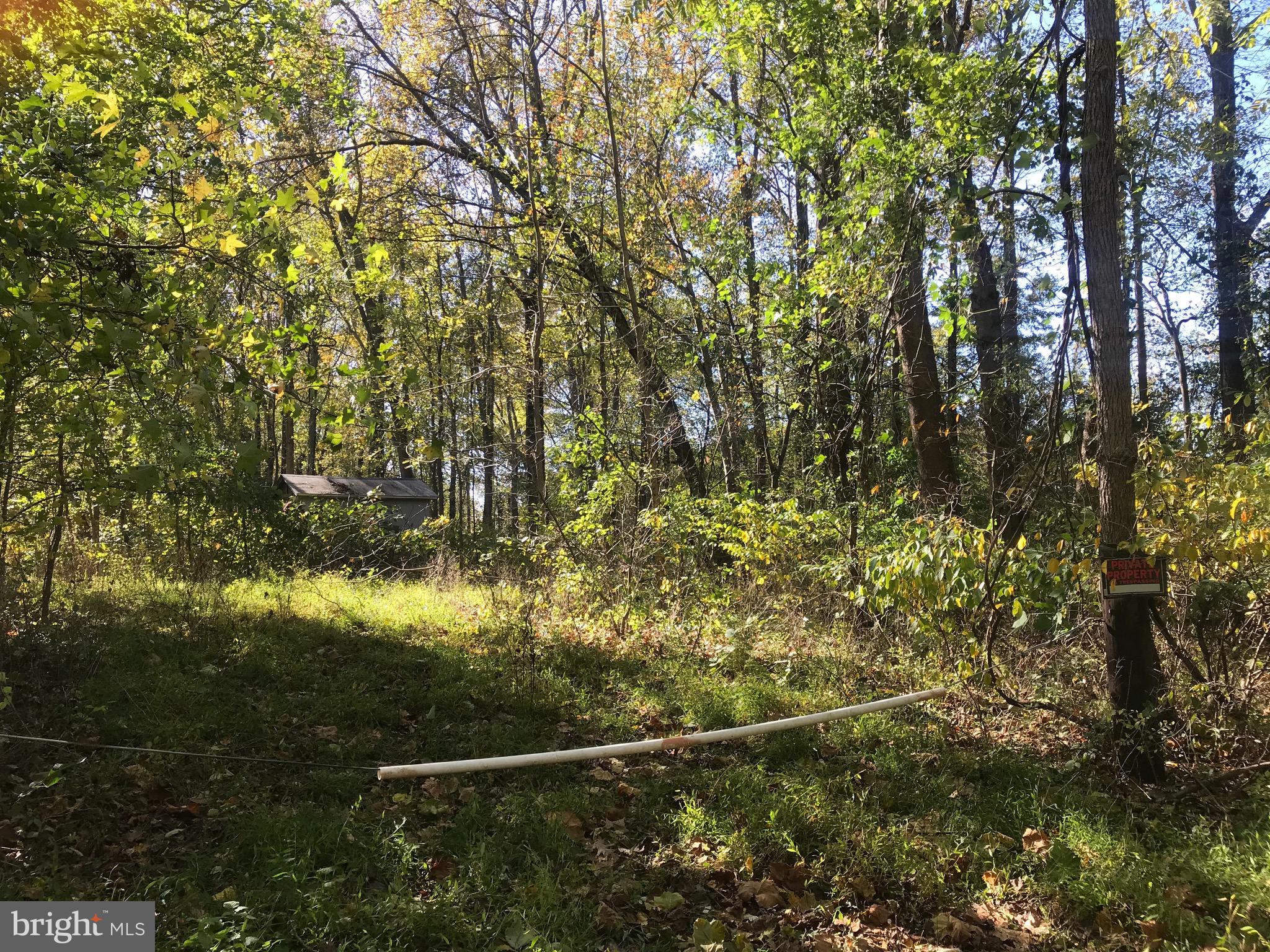 8305 Telegraph Road Lorton, VA 22079 - Photo 2 of 10 View from driveway on Newington Rd.